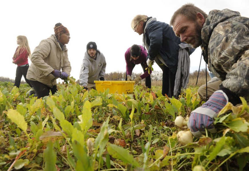 Gather Baltimore volunteers at Zahradka Farm