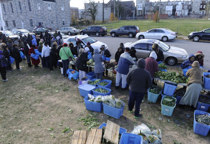 Produce from Gather Baltimore at a local farm stand